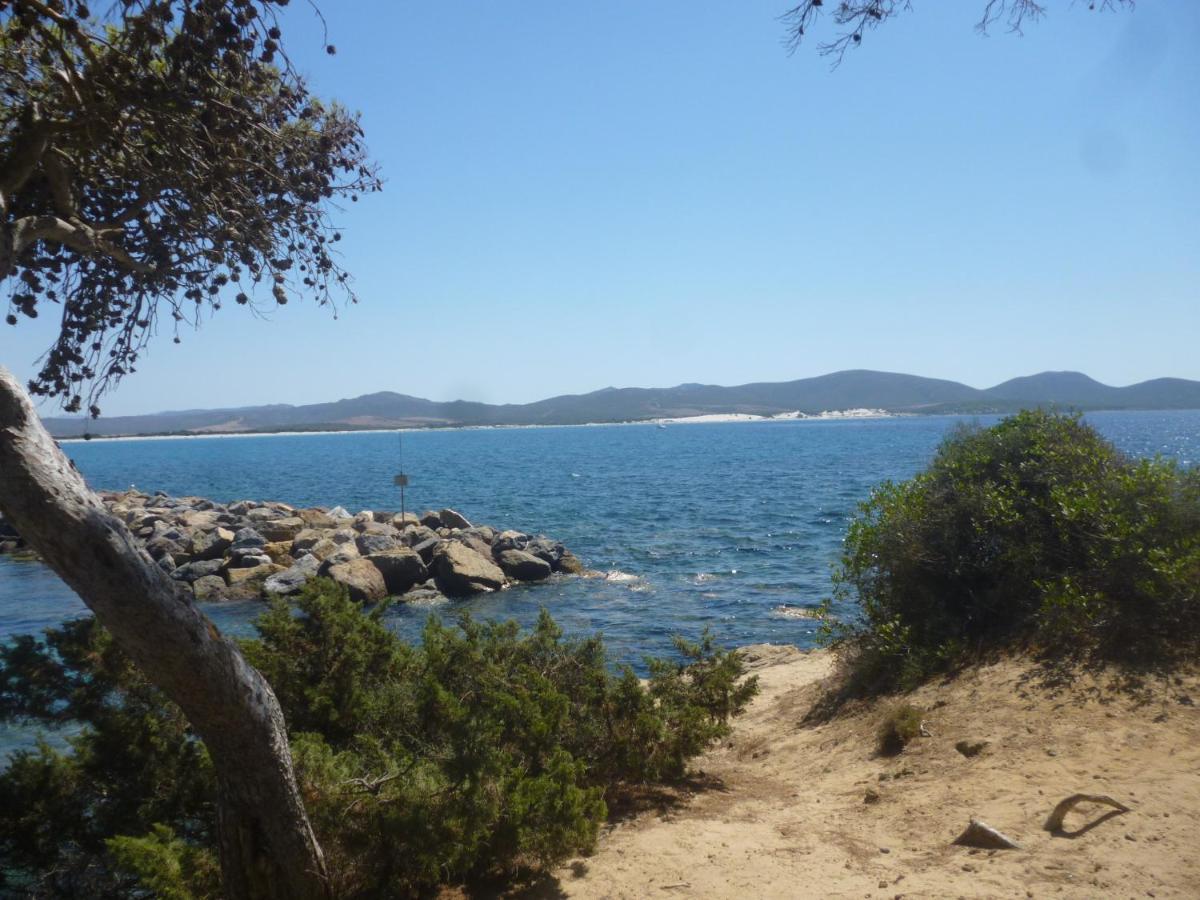 Studio In The Most Southern Point Of The Island, Completely Fenced Super Price !!! Apartamento SantʼAnna Arresi